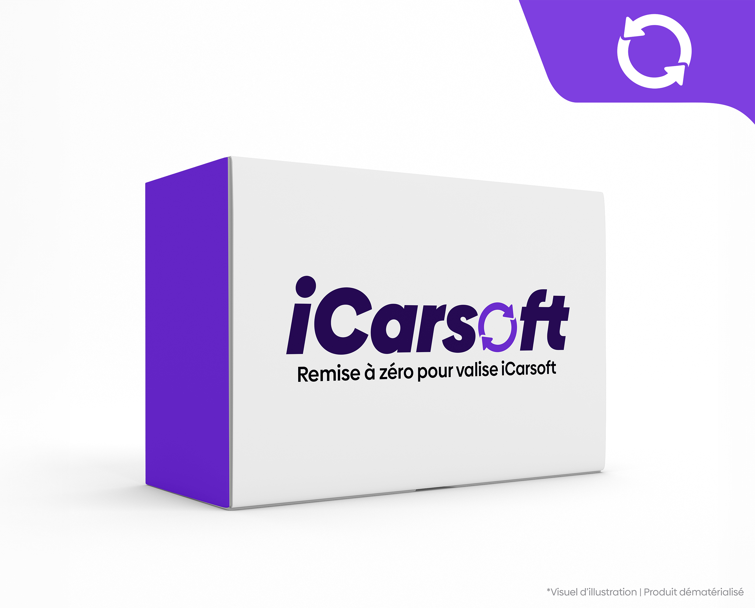 Prestation - RAZ Valise iCarsoft