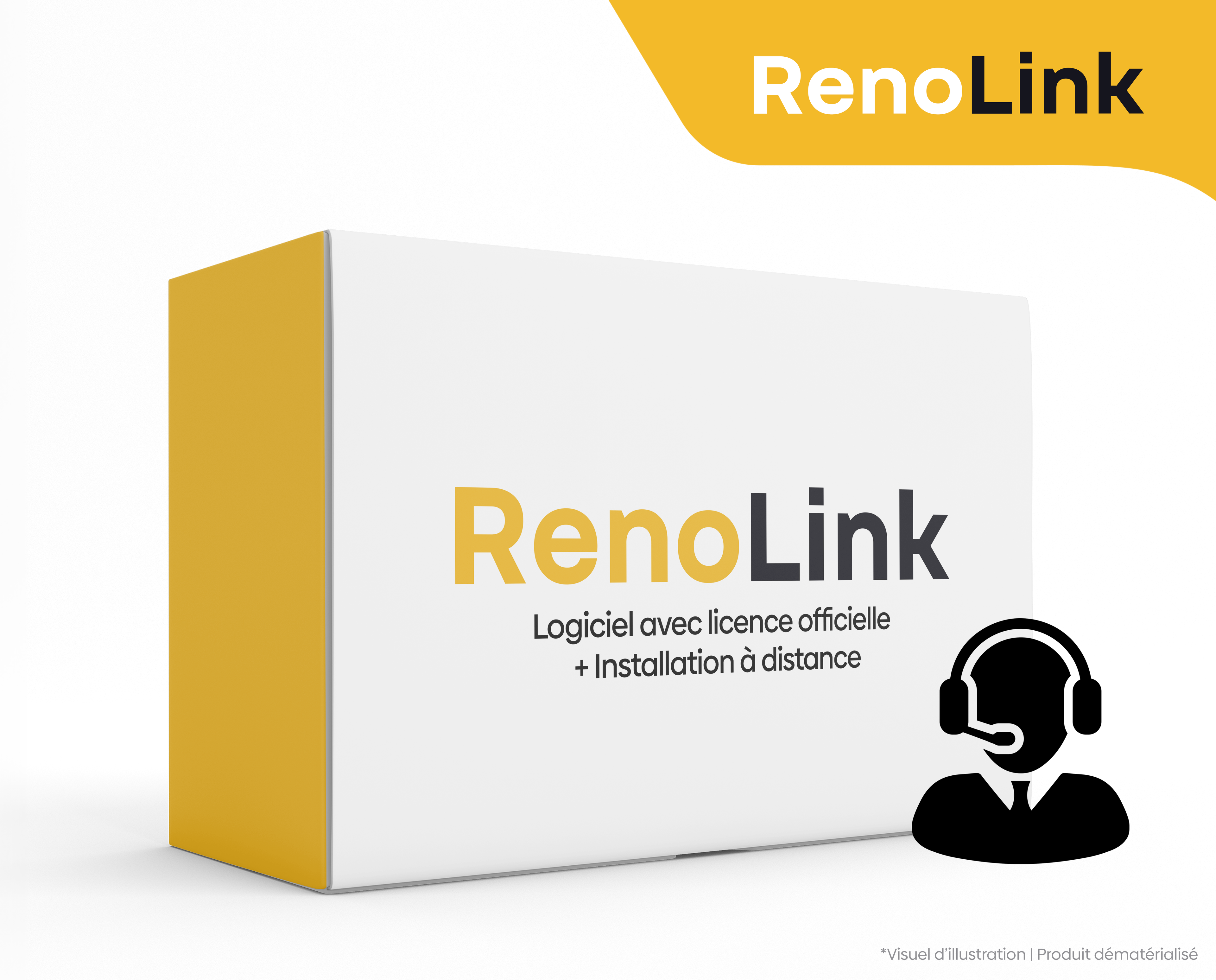 Boite du logiciel de diagnostic RenoLink avec service d'installation à distance